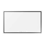 Large Format Displays